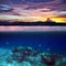 School of fish in the tropical ocean on beautiful sunset splitted by waterline