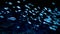 School of fishes swimming on dark sea botton in a cave. Abstract underwater background or backdrop