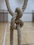 School gymnasium climbing ropes tied in a knot