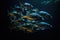 a school of hatchetfish reflecting light in the darkness