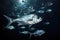 a school of hatchetfish reflecting light from their silvery bodies
