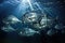 a school of hatchetfish reflecting light from their silvery bodies