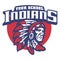 School mascot of indian chief head