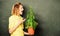 School nature study. teacher woman in glasses at biology lesson. shouting student girl with plant at blackboard. tree of