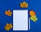 School notebook white pen white alarm clock colorful autumn leaves on a blue background. back school