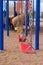 School or Park Playground Equipment with Swings