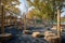 school playground with low ropes course and cargo nets for adventure-seeking kids