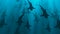 School of sharks swimming in blue water. 3d rendering