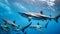 A school of sleek and fast-swimming blue sharks