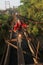 School students go to school through the suspension bridge