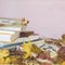 School textbooks, books on table with yellow autumn leaves, against a light pink background with copy space for text