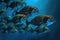 a school of vibrant hatchetfish swimming in unison