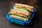 School or work, Lunch box with sandwiches with lettuce, tomatoes, cheese and salami. healthy food.