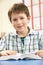 Schoolboy Studying Textbook In Classroom