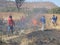 Schoolboys fighting bush-fire with tree branches.