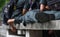 Schoolboys wear military students uniform sleeping on a bench made of cement