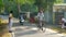 Schoolboys in white yellow uniform stand on crossing edges