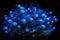 schools of deep-sea creatures swimming in mesmerizing blue glow