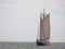 Schooner cruise around Gloucester Bay Massachusetts