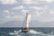 Schooner type sailing boat battling into the wind and waves to land