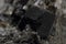 schorl mineral texture