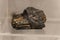 Schorl Tourmaline Gp collection stone on display selective focus