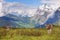 Schreckhorn, Valley Views, and a Swiss Cow in Switzerland