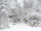 Schug Trail by Dryden Lake repurposed railroad bed in winter snow