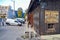 SCHWANGAU, GERMANY - OKTOBER 09, 2018: Wooden barn and car parking with direction indicator on the wall