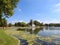 Schwerin, duckweed on the lake pfaffenteich