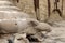 Sci-fi other worldly dystopian background of folds of rounded cement concrete with sandstone wall dead ice plant growing in backgr