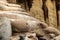 Sci-fi other worldly dystopian background of folds of rounded cement concrete with sandstone wall dead ice plant growing in backgr