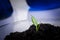 Science, biology, ecology, research and people concept - close up of scientist hands holding petri dish with plant and soil sample