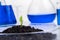 Science, biology, ecology, research and people concept - close up of scientist hands holding petri dish with plant and soil sample