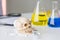 Science laboratory test tubes. Skull and beaker chemical. Volatile substances and skull laboratory. glassware with liquids of