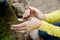 Science teacher finds a tree frog