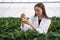 Scientific Expertise. Female researcher in white lab coat intently eyeing an erlenmeyer flask full of yellow chemical solution,