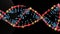 Scientific model of DNA mutations