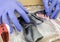 Scientific Police opens evidence bag with firearm in Laboratorio forensic equipment