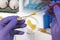 Scientific sampling of eggs in poor condition, analysis of avian influenza in humans