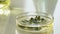 Scientist adds few drops of reagent to mixture with plant, experiments slow-mo