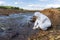 Scientist or biologist wearing protective uniforms working together on water analysis.