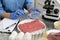 Scientist checking meat at table in laboratory, closeup. Quality control