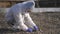 Scientist or ecologist in protective suit and gloves analyzing plant on polluted dried land