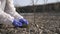 Scientist or ecologist in protective suit and gloves analyzing plant on polluted dried land. Close up of hands