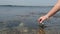 Scientist or environmental expert with a test tube taking a probe to control the quality of polluted water in a toxic