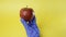 Scientist examining a big red apple, Genetically engineered food concept