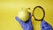 Scientist examining yellow big apple, Genetically engineered food concept