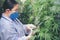 Scientist with gloves examining plants