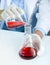 Scientist in gown and protective glove are carefully mixing red toxic chemicals from beaker to Erlenmeyer flask